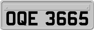 OQE3665