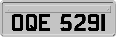 OQE5291