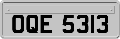 OQE5313