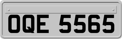 OQE5565