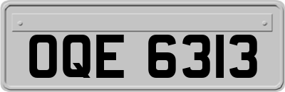 OQE6313