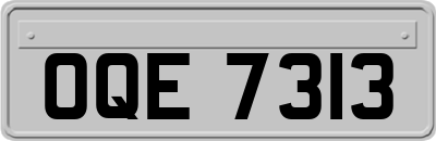 OQE7313