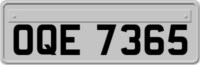 OQE7365
