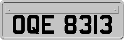 OQE8313