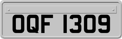 OQF1309