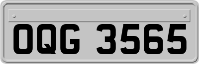 OQG3565