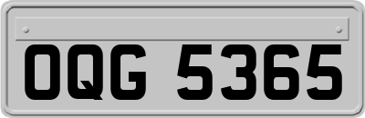 OQG5365