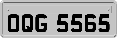 OQG5565