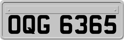 OQG6365