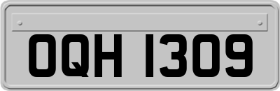 OQH1309