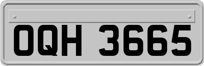 OQH3665