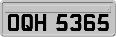OQH5365