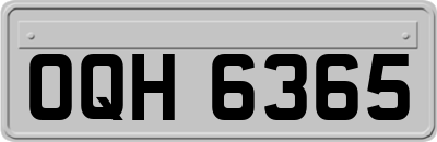 OQH6365