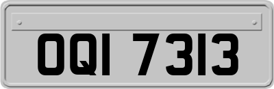OQI7313