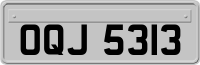 OQJ5313