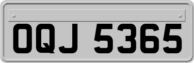 OQJ5365