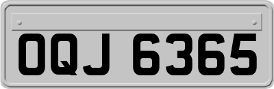 OQJ6365