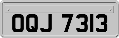 OQJ7313