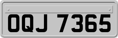 OQJ7365