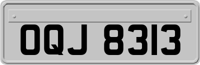 OQJ8313