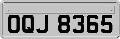 OQJ8365