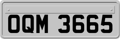 OQM3665