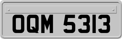 OQM5313