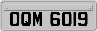 OQM6019