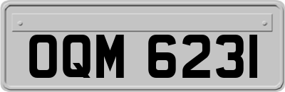 OQM6231