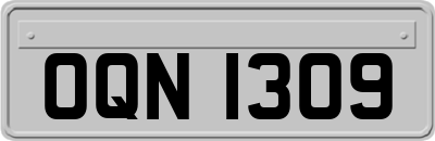 OQN1309