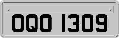 OQO1309