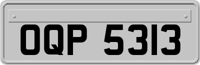 OQP5313