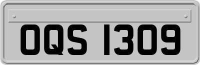 OQS1309