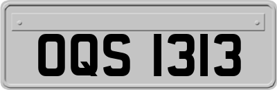 OQS1313