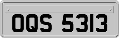 OQS5313