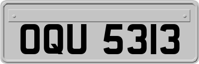 OQU5313