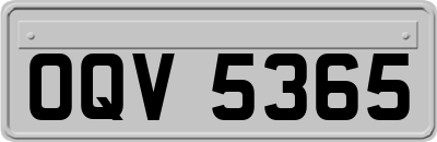 OQV5365