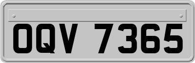 OQV7365