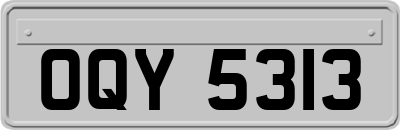 OQY5313
