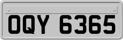 OQY6365