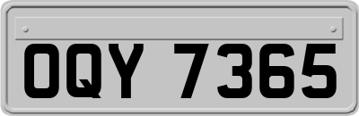 OQY7365