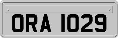 ORA1029