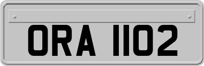 ORA1102