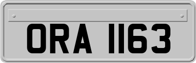 ORA1163