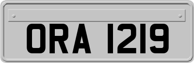 ORA1219