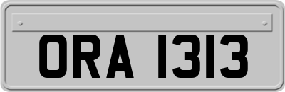 ORA1313