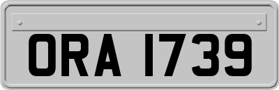 ORA1739