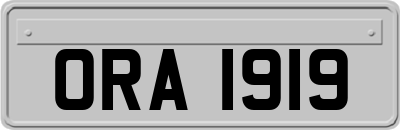 ORA1919