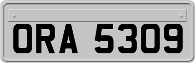 ORA5309