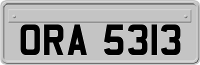 ORA5313